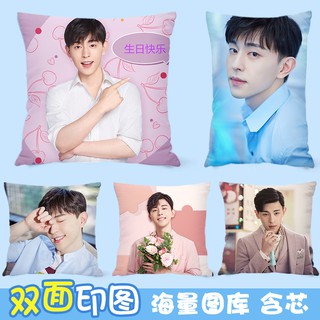 🎈Pre Order🎈 หมอนอิง เติ้งหลุน Denglun