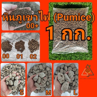 1 กก. หินภูเขาไฟ (Pumice)