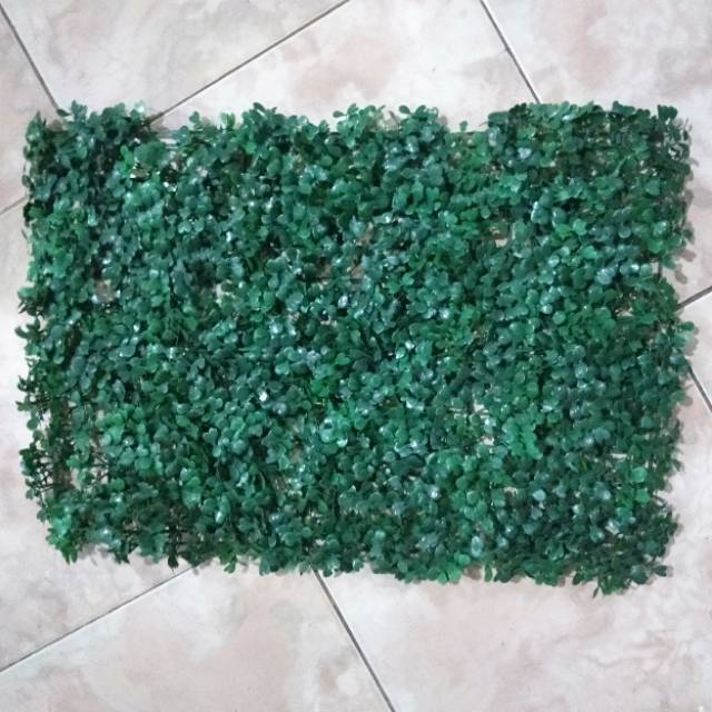DOLLAR GRASS 40 X 60/ARTIFICIAL GRASS/GRASS/DECORATIVE GRASS/DECORATIVE FLOWERS/SYNTHETICS