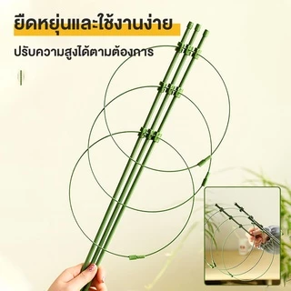 กรงพืช โครงเถาวัลย์ เสามะเขือเทศ ซุ้มไม้ โครงปลูก อุปกรณ์สำหรับพืชไม้เลื้อย จัดทรงต้นไม้ ไม้เลื้อย 45/60/75/90/120ซม.