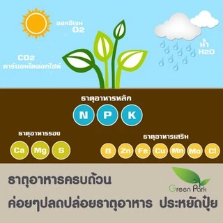 ปุ๋ย มูลไส้เดือน แท้ 100% แก้ดินแข็ง บำรุงดิน ผสม ดินปลูก กล้าโตเร็ว เย็น ใบเขียว ธาตุอาหารสูง