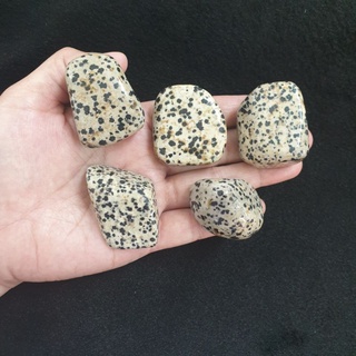 หินก้อนดัลเมเชี่ยน แจสเปอร์ หินไข่นกกะทา หินดัลเมเชี่ยนแจสเปอร์ (Dalmatian jasper)ก้อนละ250