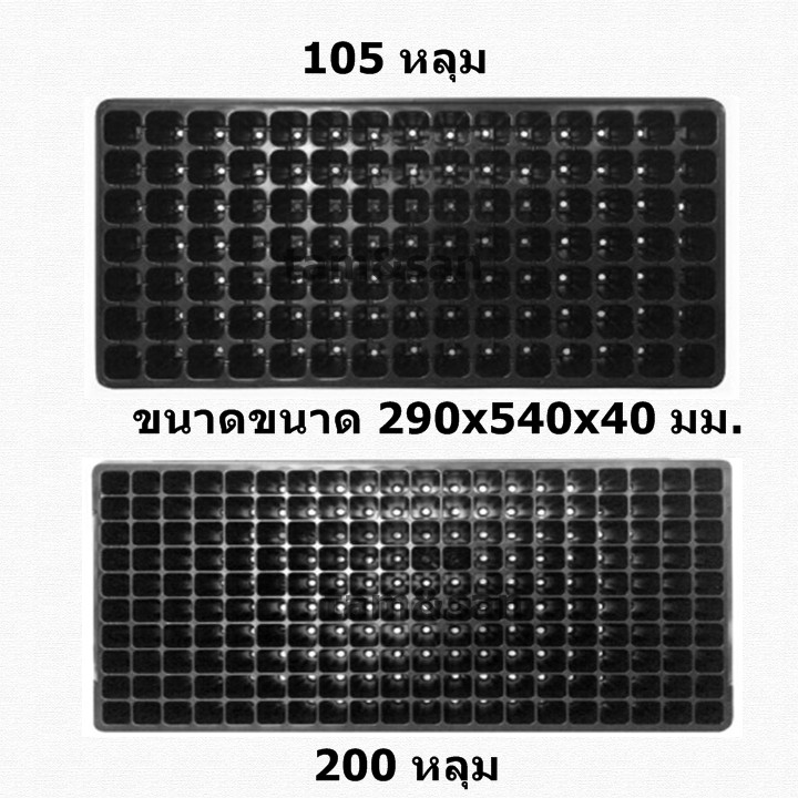 ถาดเพาะ 105 หลุม 200หลุม หนา 0.70 มิน