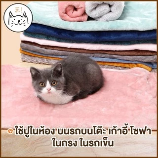 KUMAま ผ้าห่มกำมะหยี่ L/XL ผ้าห่มสัตว์เลี้ยง ผ้ารองนอน สุนัข แมว ที่นอนสุนัข ที่นอนแมว (คละสี)