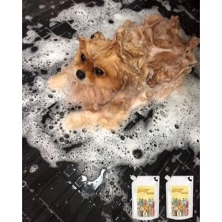 แชมพูและครีมนวด Chiffon Pet Clean : สำหรับสัตว์เลี้ยงที่คุณรัก❤️