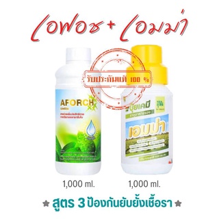 เอฟอช 1000 ลิตร  + เอมม่า 1 ลิตร  ปุ๋ยน้ำ สูตรป้องกันเชื้อรา รากเน่า โคกเน่า ใบไหม้ ใบจุด ใบติด ราน้ำค้าง