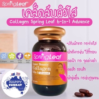 ✨คอลลาเจนสูตรนางงามออสเตรเลีย Spring Leaf Premium Inner Beauty Collagen 6-In-1 Advanced คอลลาเจนพรีเมียมจากออสเตรเลีย