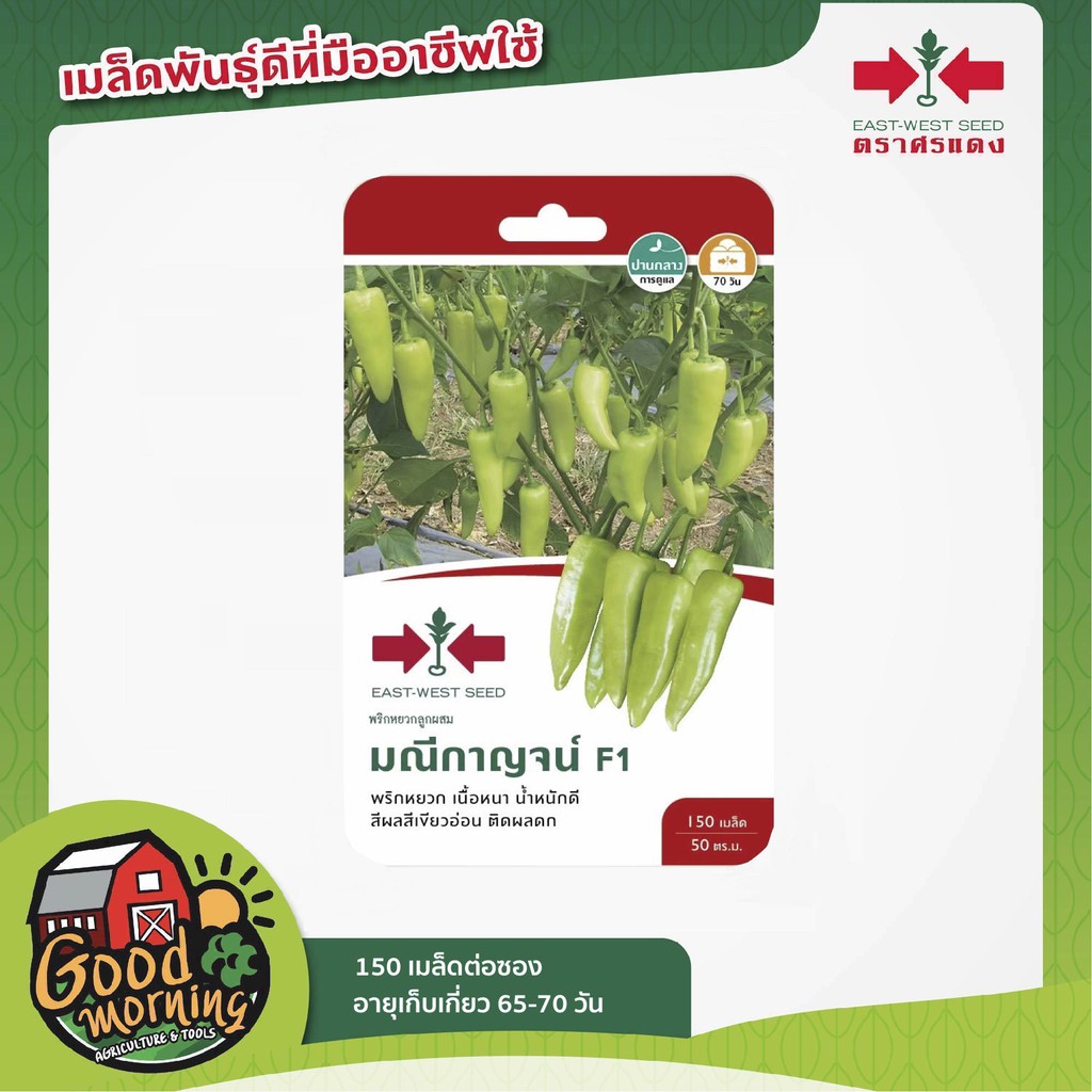 SORNDANG ผักซอง ศรแดง พริกหยวก มณีกาญจน์ #055 F1 เมล็ดพันธุ์ลูกผสม เมล็ดพันธุ์ผัก ผักสวนครัว ผักศรแดง ตราศรแดง