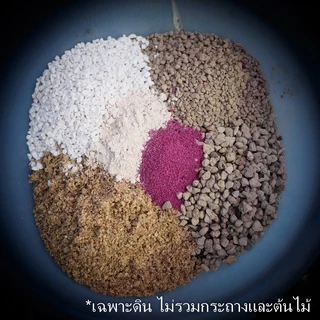 (ถุง4โล) 🌵ดินปลูกแคคตัสราคาส่ง 20บาท/กก. พร้อมปลูก ระบายน้ำดี มีกันเพลี้ย รา ดินปลูกกระบองเพชร 4kg