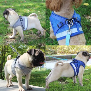#P049 สายจูงสุนัข เรืองแสง Pet Reflective Harness สายจูงสัตว์เลี้ยง สายจูงหมา สายรัดอกสุนัข