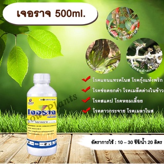 เจอราจ 500ml. โพรคลอราช โรคแอนแทรคโนส โรคกุ้งแห้งพริก โรคช่อดอกดำ โรคสแคป โรคเมล็ดด่างในข้าว โรคหอมเลื้อย