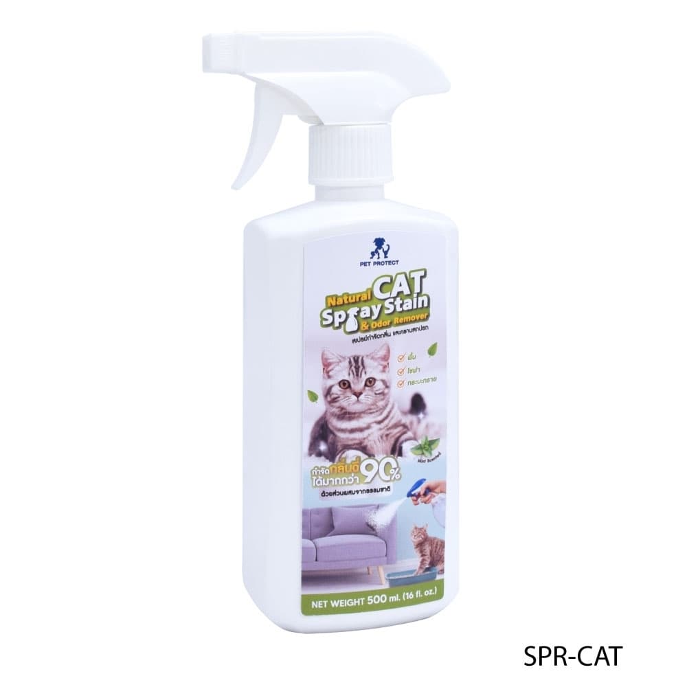 รูปภาพ 3