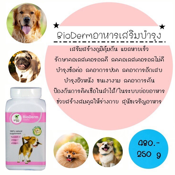 อาหารเสริมสุนัข อาหารเสริมสำหรับสุนัข BioDerm (ไบโอเดิร์ม) อาหารเสริมสำหรับสุนัข 250g