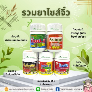 ยาพืชไซส์จิ๋ว ขนาด 100 cc. ขวดละ 80 บาท