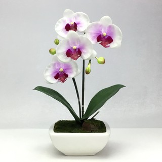 OrientalFineArt ดอกกล้วยไม้ปลอม phalaenopsis จัดในกระถางเซรามิค สำหรับประดับตกแต่งบ้าน