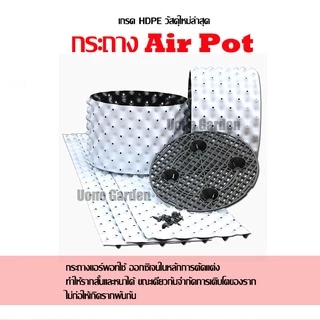 T034 PlantsCenter HDPE กระถางปลูกต้นไม้ Air Pot แบบหนา สีขาว กระถางมีรู กระถางต้นไม้เพิ่มราก
