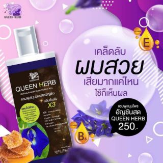 Queen Herb ควีน เฮิร์บ ชุดแชมพูสมุนไพรอัญชัน   แชมพูอัญชัญ กับ ทรีมเม้นท์อัญชัญ