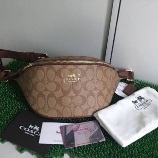 Coach Belt Bag in Signature Canvas