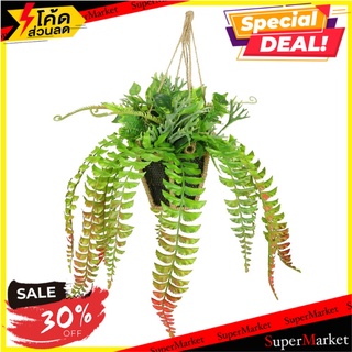 กระเช้าเฟิร์นประดิษฐ์ (สั้น) SPRING TY-H05 ต้นไม้ประดิษฐ์ ARTIFICIAL FERN WITH HANGING BASKET SPRING TY-H05 อุปกรณ์ตกแต่