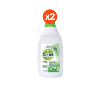 Dettol เดทตอล ลอนดรี แซนิไทเซอร์ 750 มล. (2ขวด)