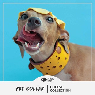 ปลอกคอสัตว์เลี้ยง Cheese pet collar สลักชื่อ เบอร์โทรฟรี หนังนิ่มแท้ ปลอกคอสุนัข | Mr.&amp;Mrs.Sniff