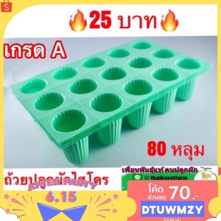 ถาดเพาะ(ถ้วยปลูก)ผักไฮโดรโปนิกส์สีเขียวเกรด A  (80หลุม)