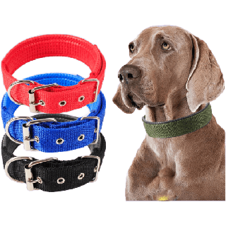 PP-142 ปลอกคอสุนัข แบบไนล่อน ปลอกคอสัตว์เลี้ยง หมา แมว พันธ์ใหญ่-พันธ์เล็ก pet collar ⭐️พร้อมส่ง⭐️