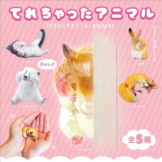 🅟🅕 กาชาปองสัตว์เขินอาย Terecyatta animal gashapon