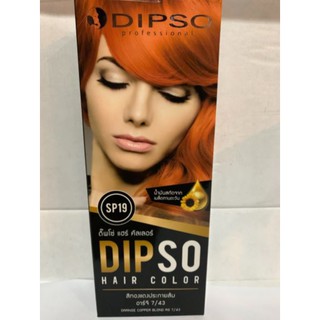 Dipso น้ำยาย้อมผม น้ำยาเปลี่ยนสีผม Hair Color ดิปโซ #S / #SP