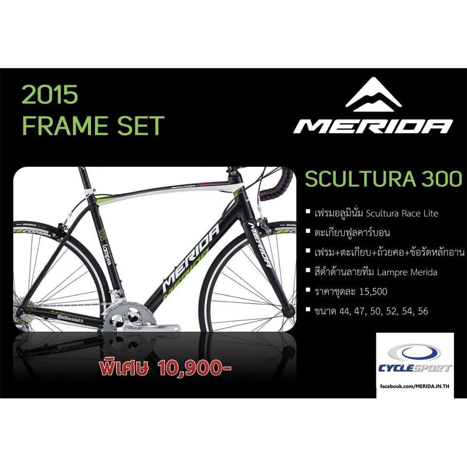 เฟรมจักรยานเสือหมอบ Merida Scultura 300 LampreTeam