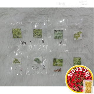 Herbs Seeds ~ Mini Pack Seedsseeds/裙子/玫瑰/生菜/芹菜/男装/上衣/儿童/苹果/种子/ 9IXR