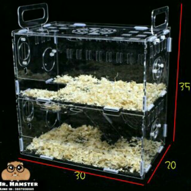 พร้อมส่ง ถูกสุด!! กรงเปล่า กรงอะคริลิค2ชั้น (กรงเปล่า)กรงหนูแฮมเตอร์