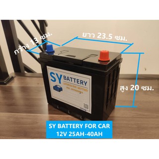 SY Battery แบตเตอรี่สำหรับรถยนต์ แบบลิเธียมฟอสเฟต LiFePO4 12V 25-100 Ah เหมาะสำหรับรถยนต์ เรือ1000-10000 CC และรถบรรทุก