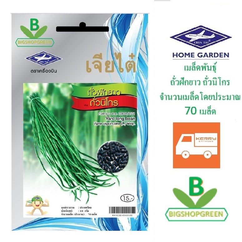 5 ฟรี 1 คละได้ เมล็ดพันธุ์ ถั่วฝักยาว ถั่วนิโกร ตราเจียไต๋ เมล็ดผัก เมล็ดพันธุ์ผัก มล็ดพันธุ์พืช เมล็ดพืช