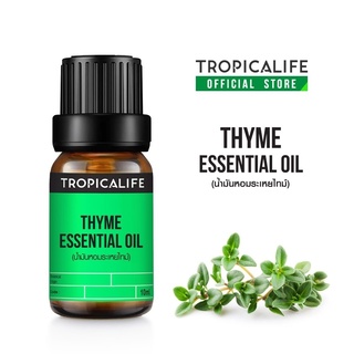 น้ำมันหอมระเหยไทม์ THYME WHITE ESSENTIAL OIL ปริมาณ 10 ml