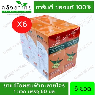 ยกแพ็ค 6 ขวด ยาน้ำแก้ไอผสมฟ้าทะลายโจร แบรนด์การบูร ขนาด 60 มล. [Karaboon] พร้อมส่ง