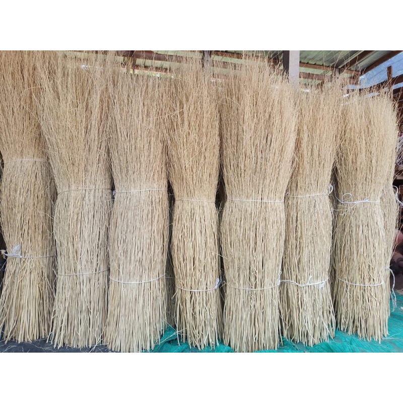 หญ้าขัดมอญพ่นตกแต่งสวน - รูปที่ 7