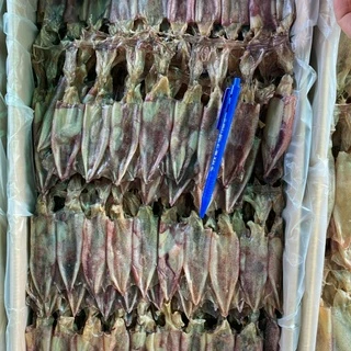 หมึกแพสวย นน 500 กรัม ราคาพิเศษ #แม่แขทะเลแห้ง /จัดส่ง หมึกแพ ครึ่งโล/