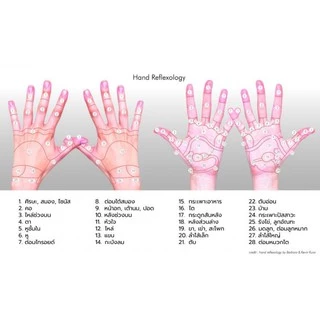 ไม้นวดฝ่ามือ ที่นวดมือ แก้เหน็บชา บำบัดโรค นวดกดจุด ไม้นวดมือ เพื่อสุขภาพ
