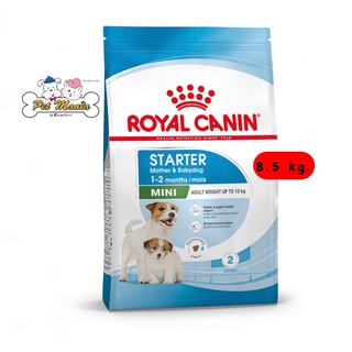 Royal Canin MINI STARTER 8.5kg.อาหารสุนัขขนาดจิ๋ว/เล็ก(แม่และลูกสุนัข)