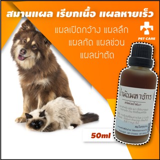 ทาแผลหมาแมว น้ำมันเรียกเนื้อสมานแผลสัตว์เลี้ยง ใช้ได้ทั้งสุนัขและแมว50ml