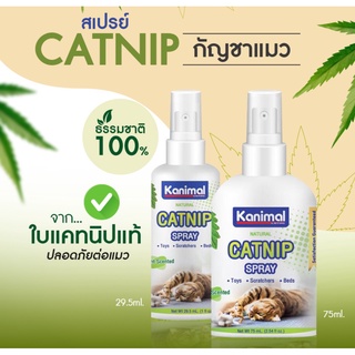 Kanimal Catnip Spray 75ml.สเปรย์แคทนิป กัญชาแมว สูตรธรรมชาติ100% อ่อนโยน ปลอดภัย