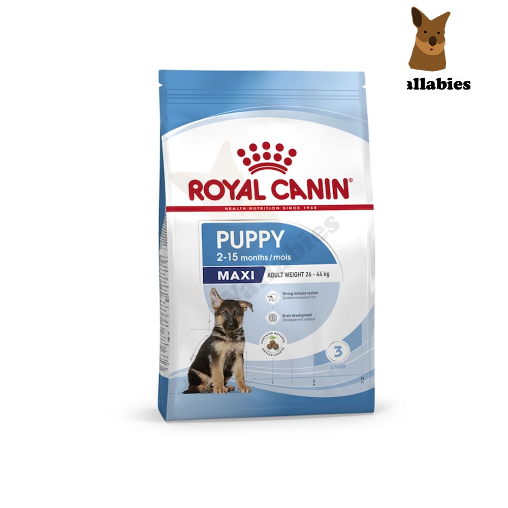 Royal Canin Maxi Puppy (1KG.) สำหรับลูกสุนัข พันธุ์ใหญ่ อายุ 2-15 เดือน (นน. โตเต็มวัย 26-44 กก.)