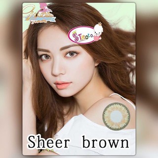 sheer brown by TATOTO Contact Lenses บิ๊กอาย #123