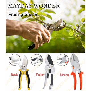 ✂️ กรรไกรตัดกิ่งไม้ กรรไกรตัดหญ้า แต่งสวน กรรไกรตัดกิ่ง sk5 กรรไกรบอนไซ Pruning Shear