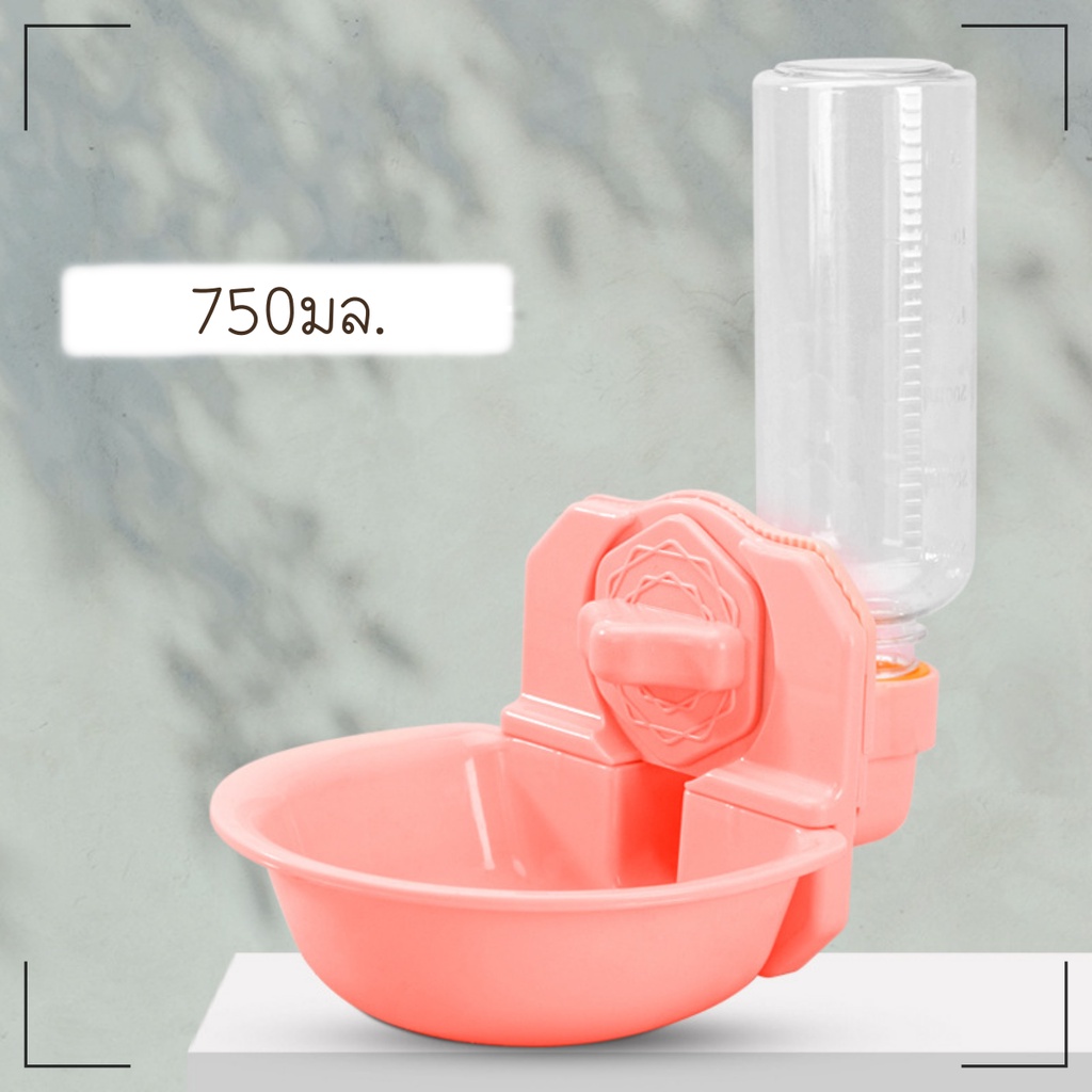 ✅พร้อมส่ง✅ ที่ให้น้ำติดกรง มีชามเติมน้ำอัตโนมัติ ขนาด 500-750มล. Water Dispenser ที่ให้น้ำสัตว์เลี้ยง สุนัข หมา แมว กระต่าย - รูปที่ 7