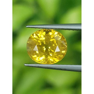 พลอยบุษราคัม (Yellow Sapphire) 3.15 กะรัต (Cts.)