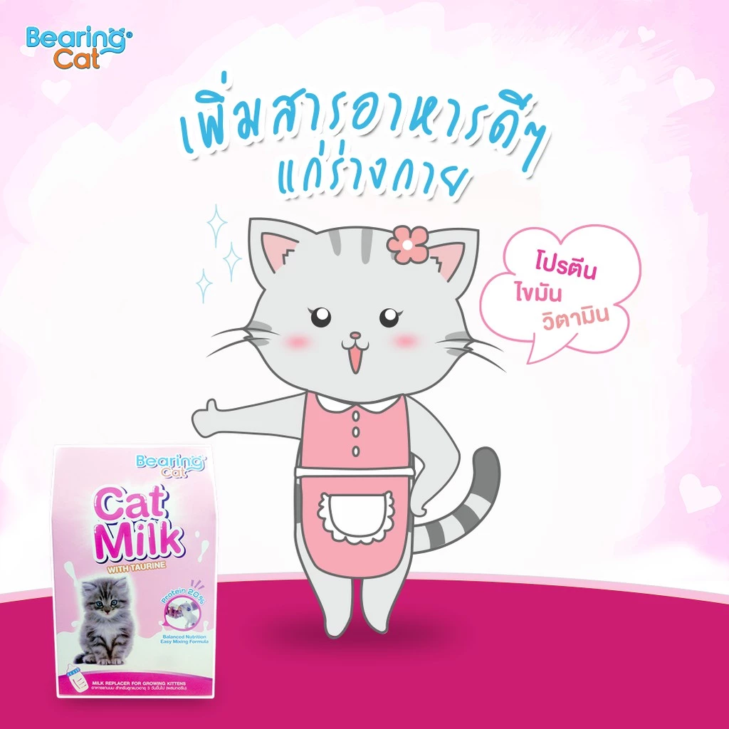 BEARING Cat Milk with Casein นมผงสำหรับลูกแมว 300g thumbnail 6