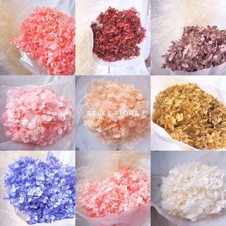 ดอกไม้แห้ง (พร้อมส่ง) ไฮเดรนเยีย preserved ดอกไม้แห้ง ดอกไม้จริงอบแห้งเก็บได้นานมากกว่า 2ปี
