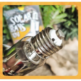 [ALL in one] DH Solar Ray 100W UVA+UVB หลอดรวม UVA UVB ให้ความร้อนและให้ UVB สำหรับเต่าบก หลอดจำลองแสงอาทิตย์